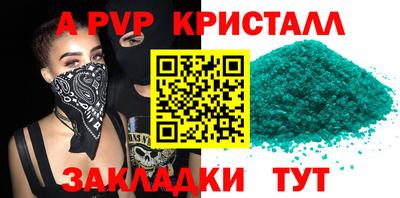 дмт Ставрополь