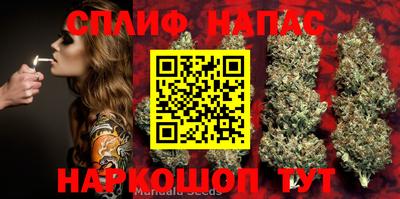 шишки Старая Купавна